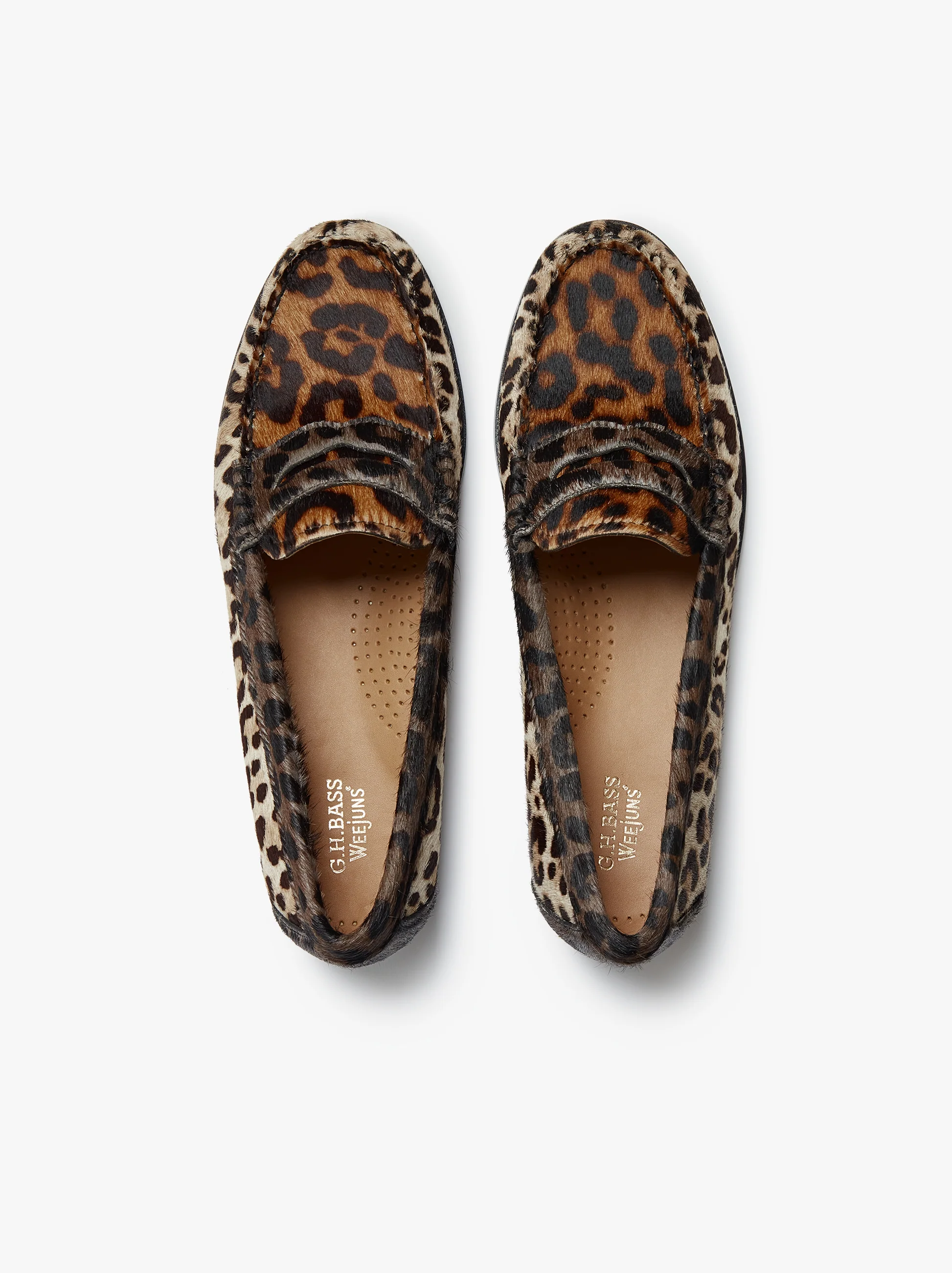 Whitney Leopard Penny Loafers - Image 4